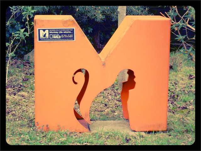 Monkey Life