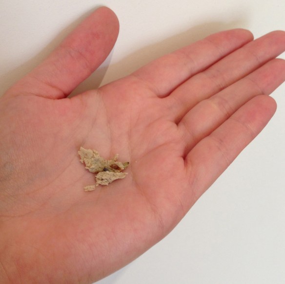 Lush Angels on Bare Skin