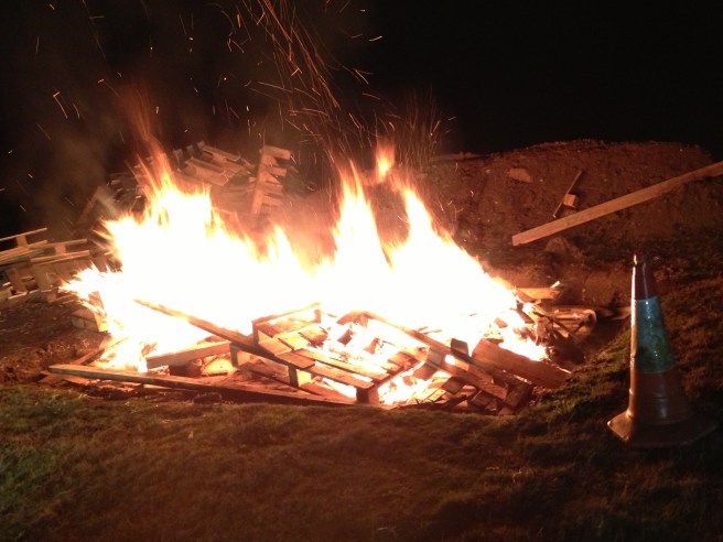 Monkey World campfire