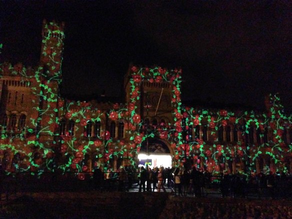 Briar Rose Illuminos 2