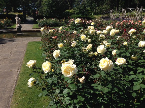 St Annes rose garden