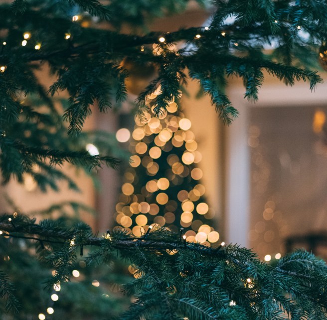 festive-vibes