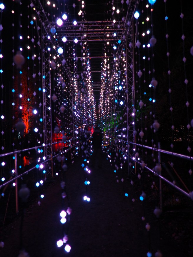 Christmas at Dunham Massey 