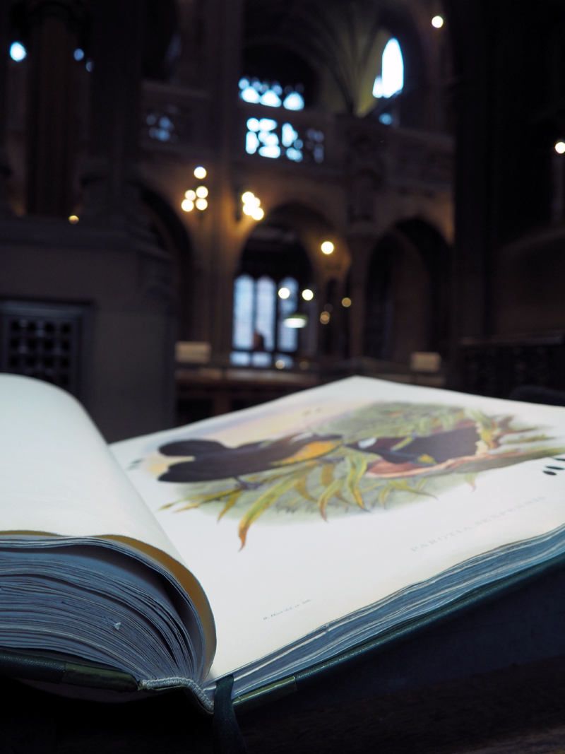 John Rylands Reading Room
