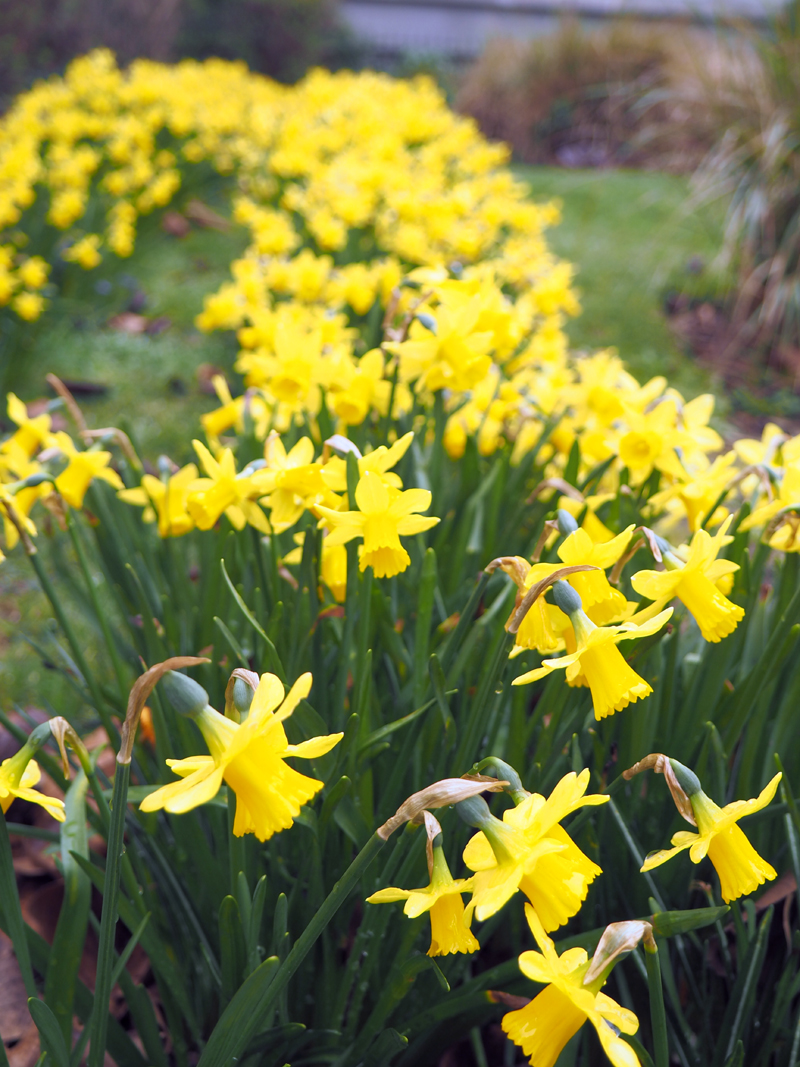 St John's Gardens Manchester 3