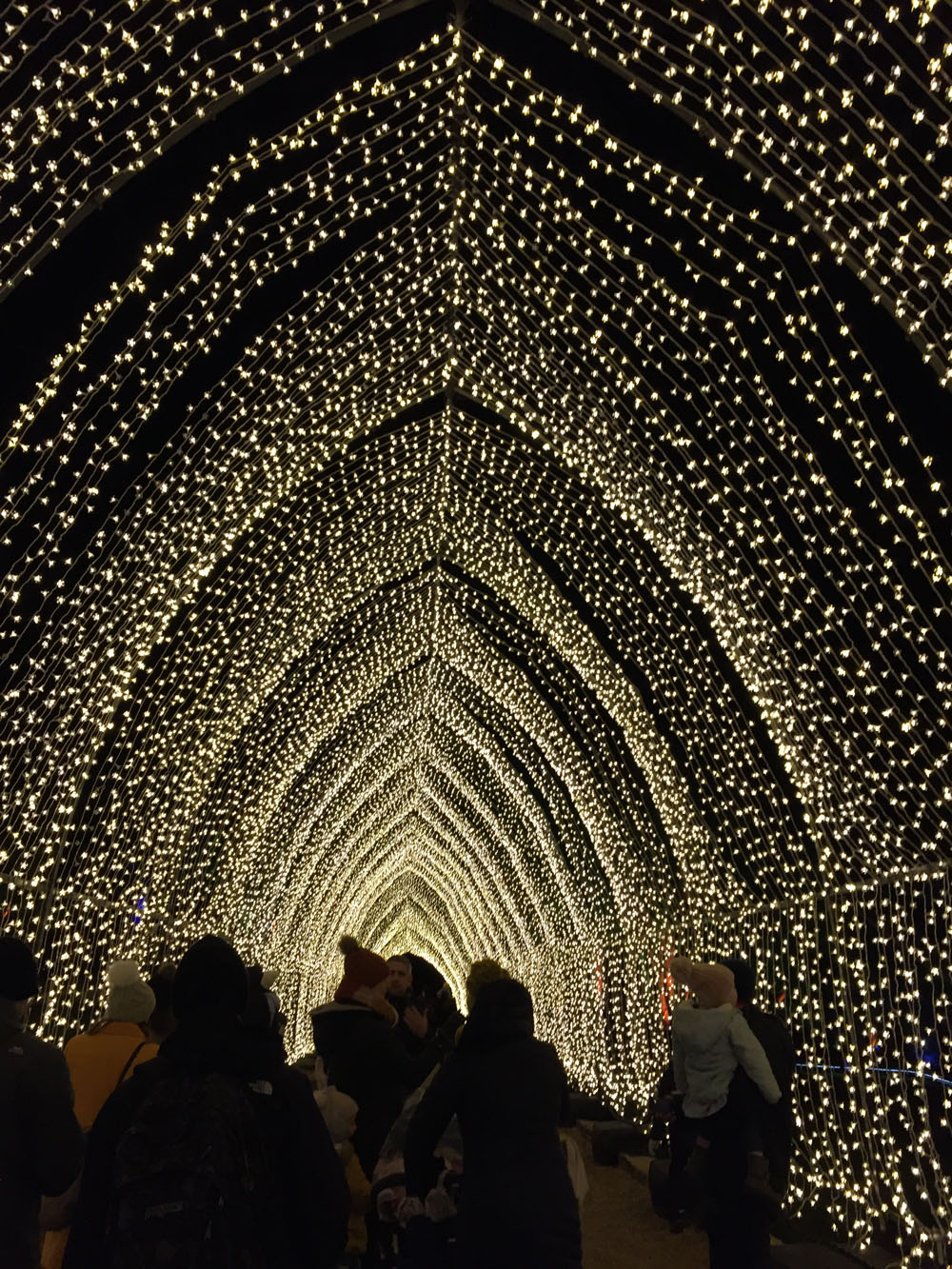 My Christmas Trails, National Trust