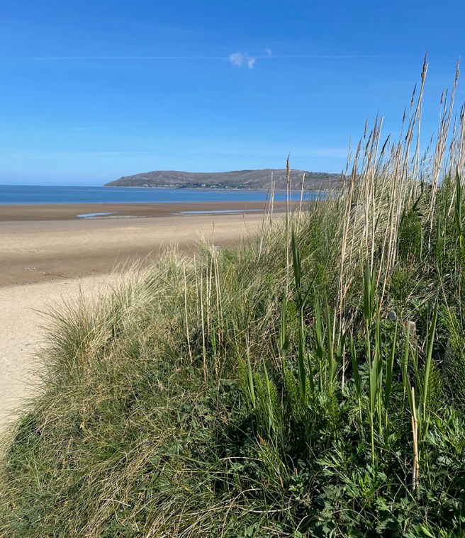 Morfa Conwy Dog Friendly Beach