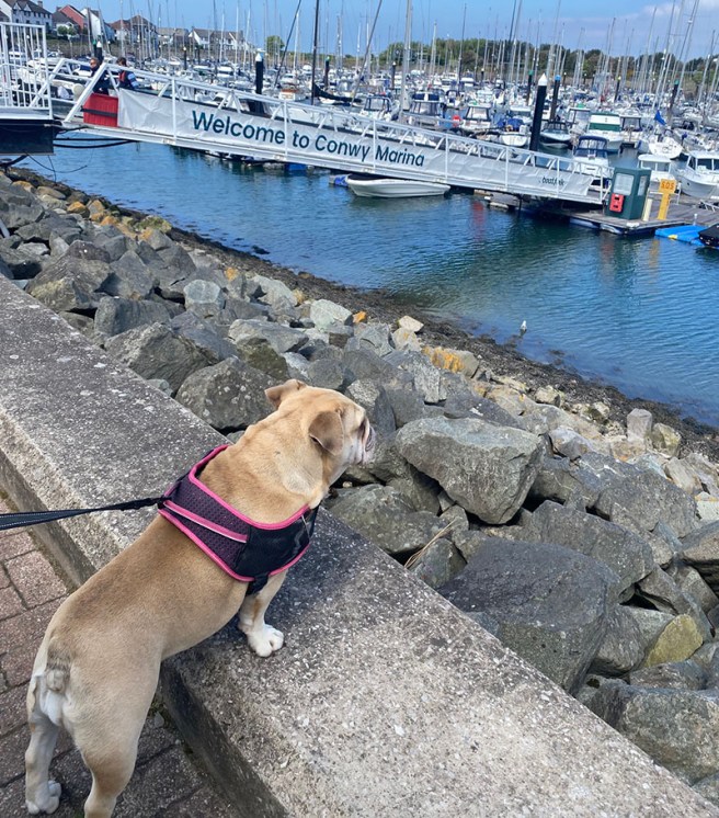 Conwy Marina