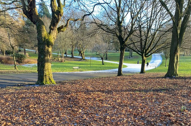 Buile Hill Park in Winter