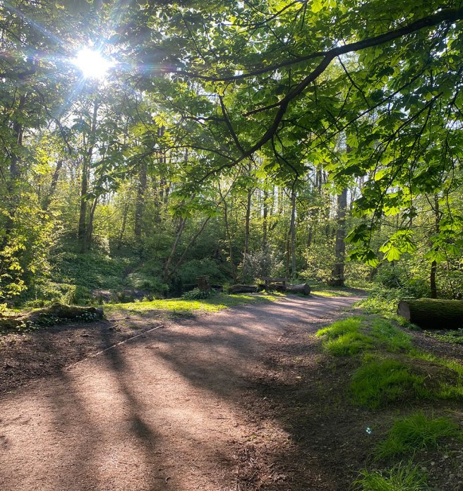 Worsley Woods Spring