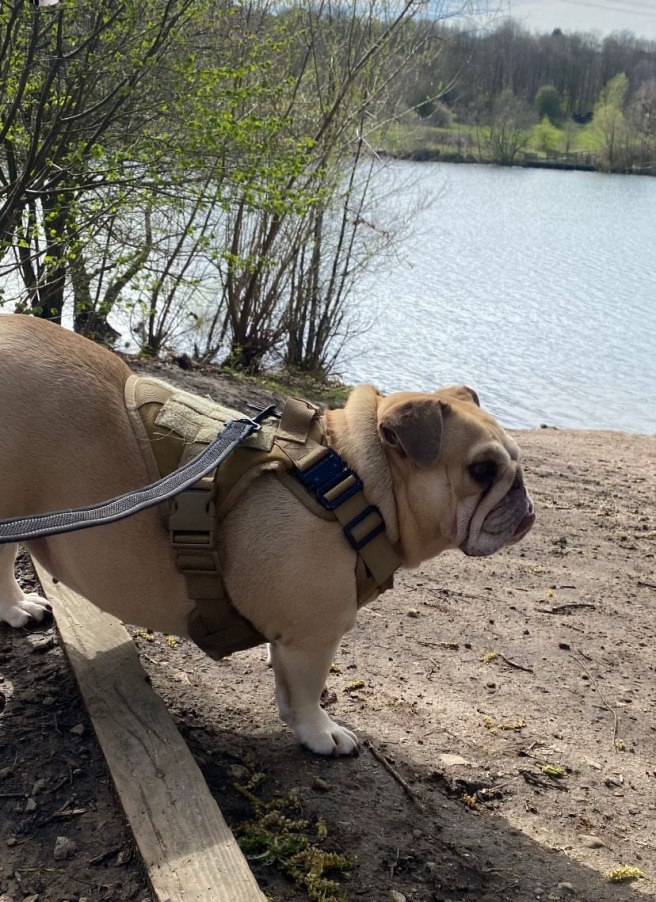 Clifton Country Park