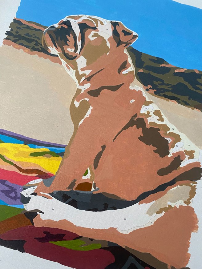 Paint by number pet portrait