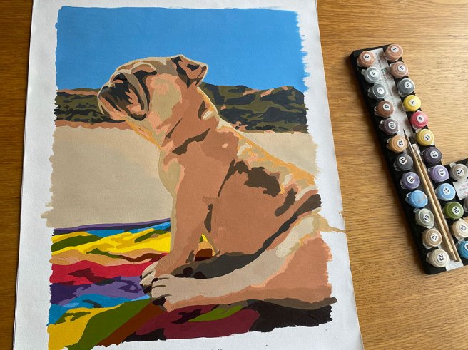 Paint a moment custom paint by numbers pet portrait kit